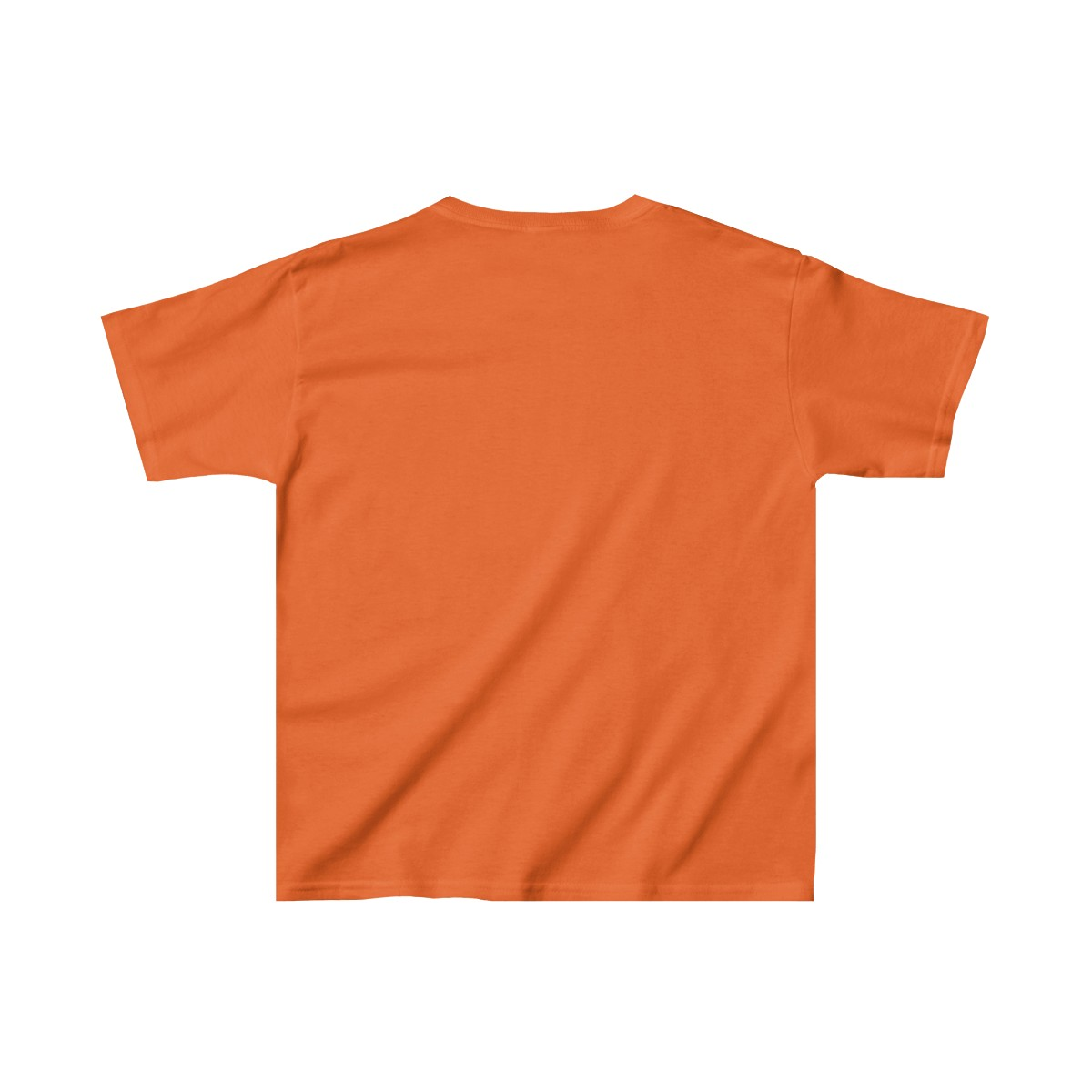 81511658